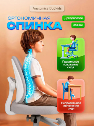 02. Эргономичная спинка